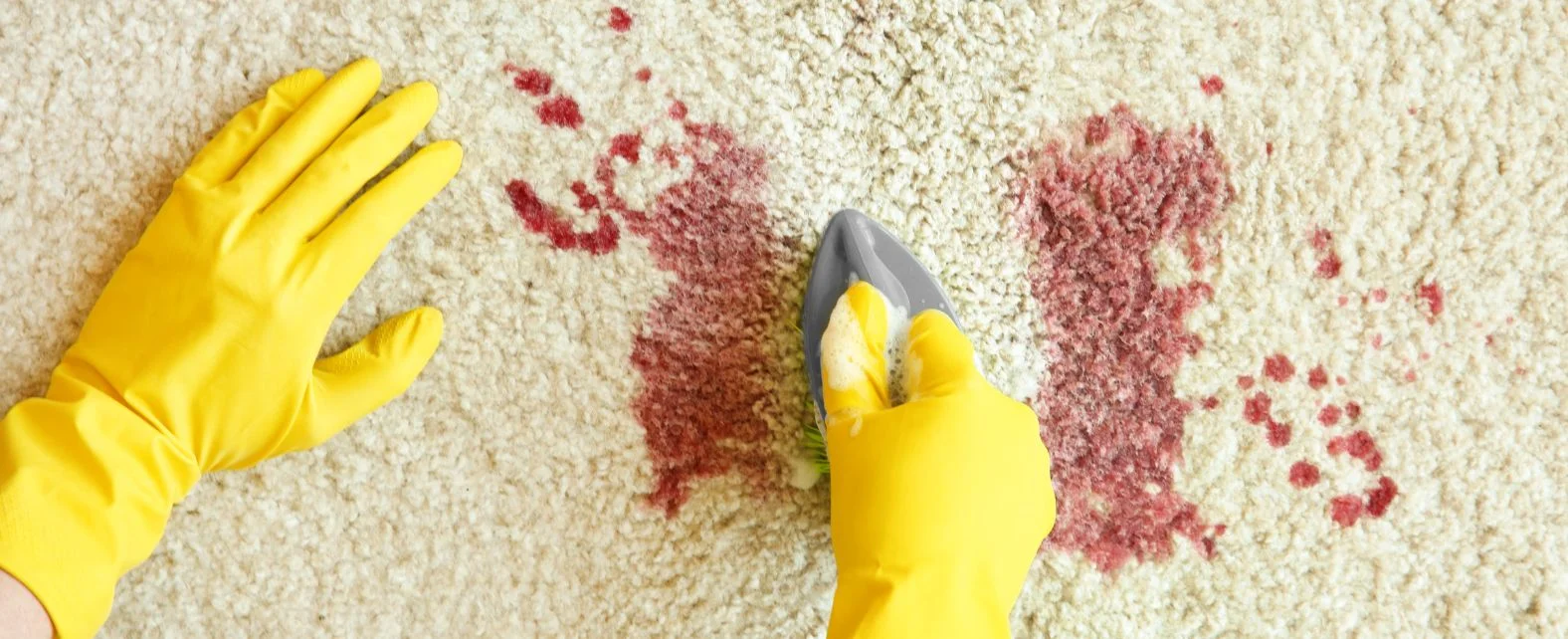 Nettoyage de taches de sang sur un tapis blanc avec une brosse