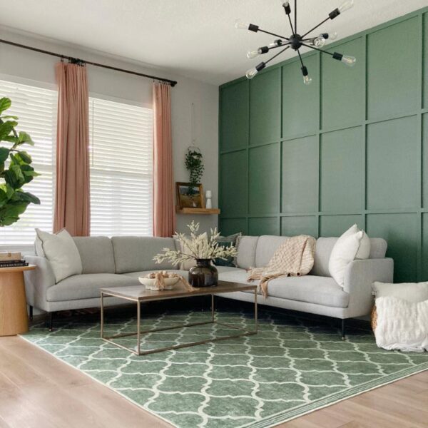 Salon moderne avec un tapis de couleur vert