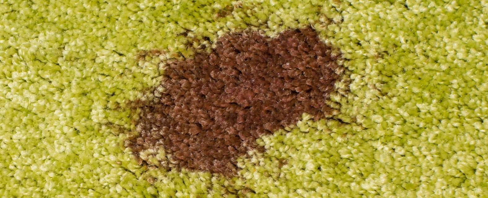 Taches de chocolat sur la face d’un tapis vert