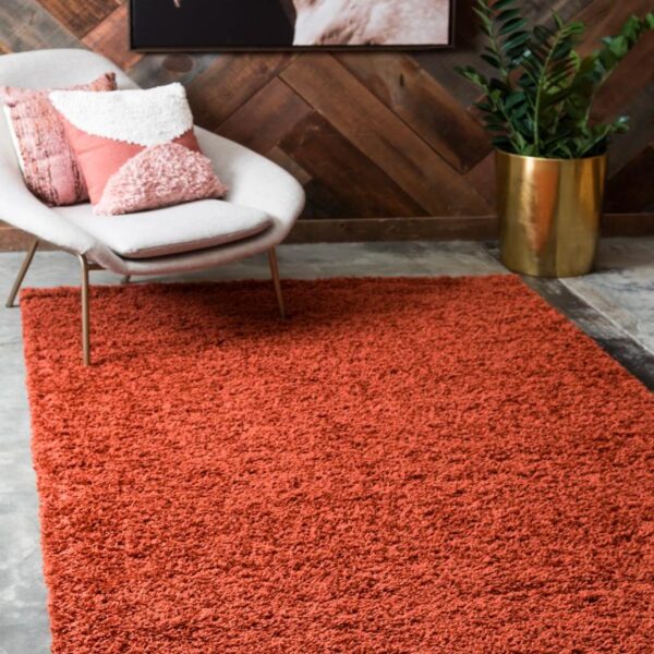 Tapis couleur terracotta à poils longs dans un salon design