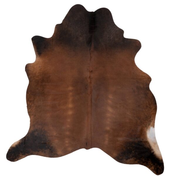 Un Tapis en peau de vache unique brun noir sur un fond blanc | 180x160 cm.