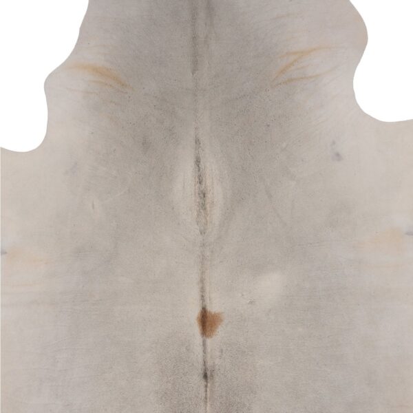 Un gros plan d'un Tapis peau de vache unique gris clair | 180x160 cm sur fond blanc.