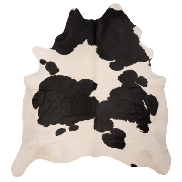 Tapis en peau de vache naturelle bicolore, design moderne.