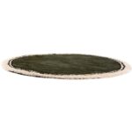 Un tapis vert avec une bordure.