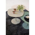 Une table basse avec une plante dessus.