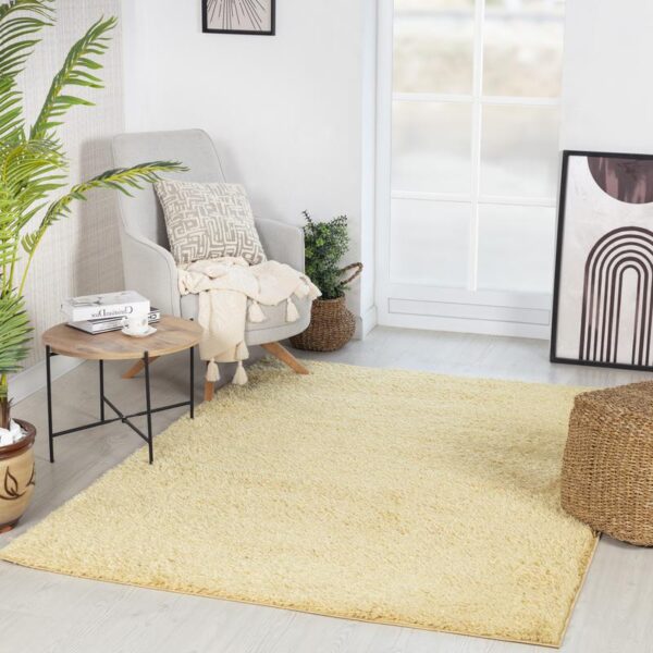 Salon moderne avec fauteuil, tapis et plantes.