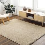 Tapis moelleux beige dans un salon moderne.