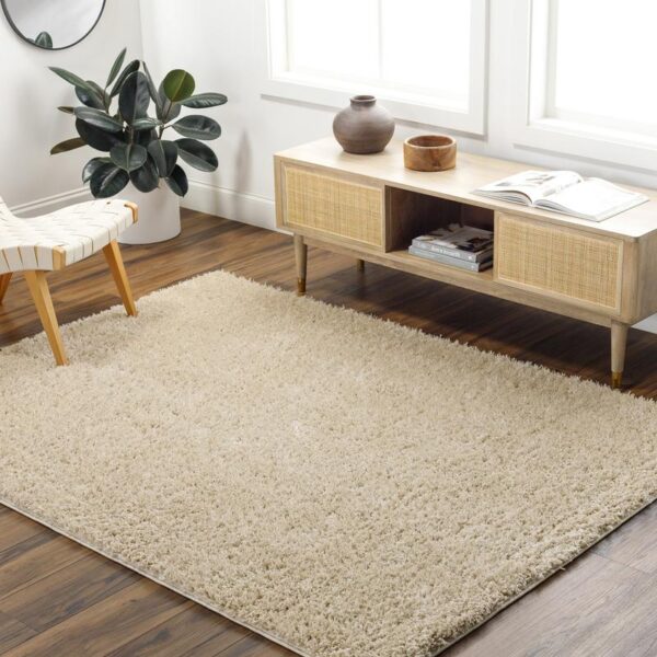 Tapis moelleux beige dans un salon moderne.
