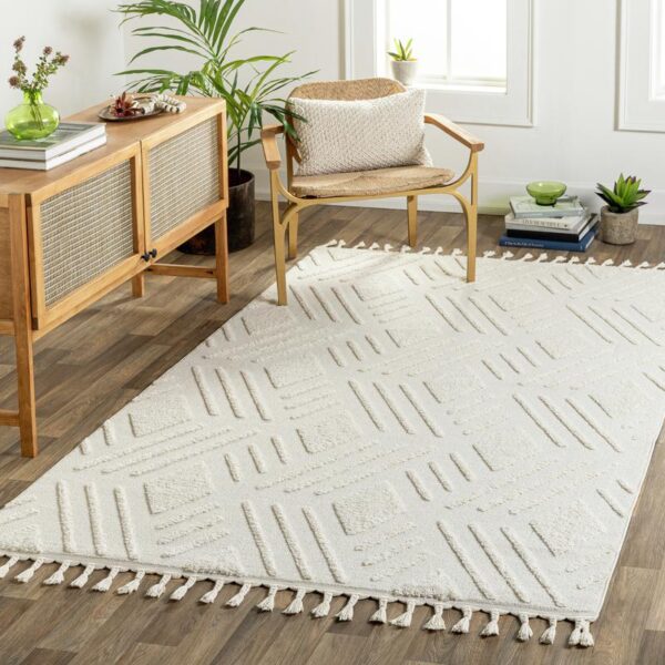 Tapis blanc texturé avec franges dans salon moderne.