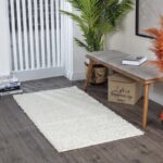 Intérieur moderne avec tapis et plante verte.