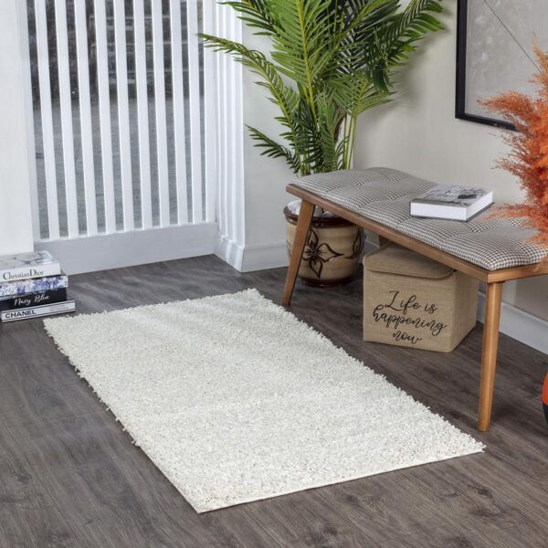 Intérieur moderne avec tapis et plante verte.