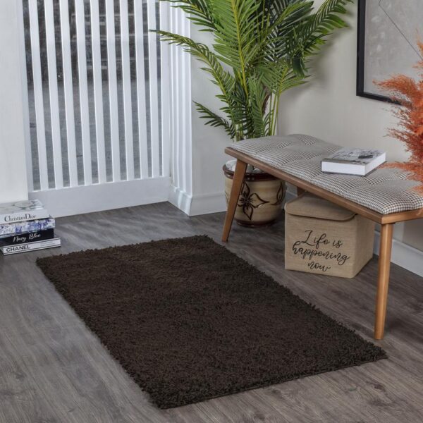 Tapis marron dans un salon moderne.