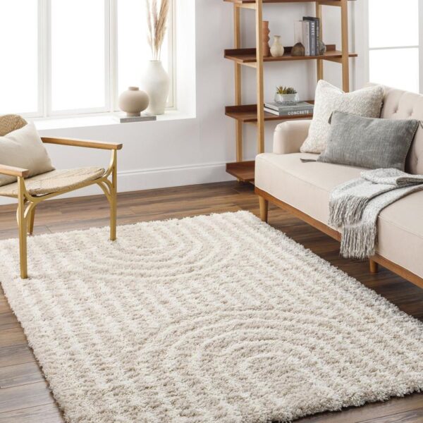 Salon moderne avec tapis crème et étagère en bois.