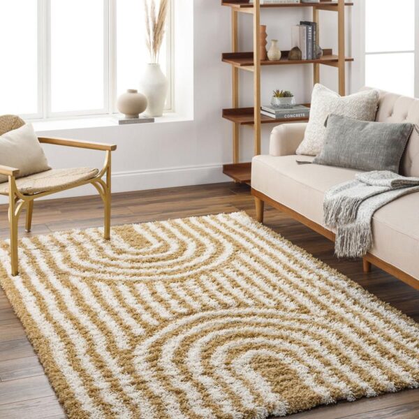 Tapis moderne salon étagères bois canapé coussins fenêtre.
