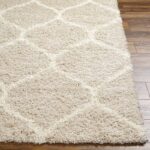 Tapis beige moelleux sur plancher en bois.