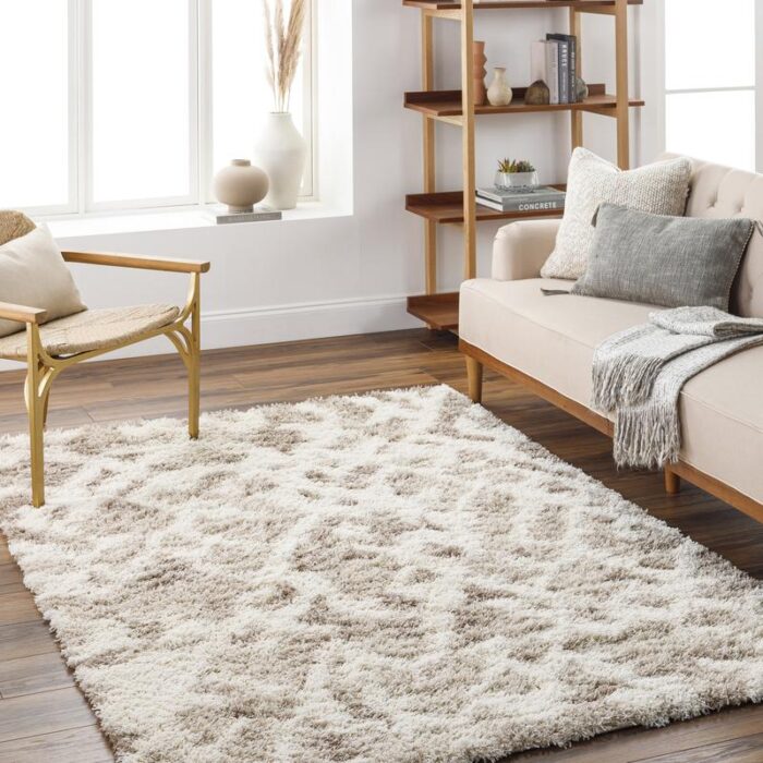 Salon moderne avec canapé, fauteuil et tapis moelleux.