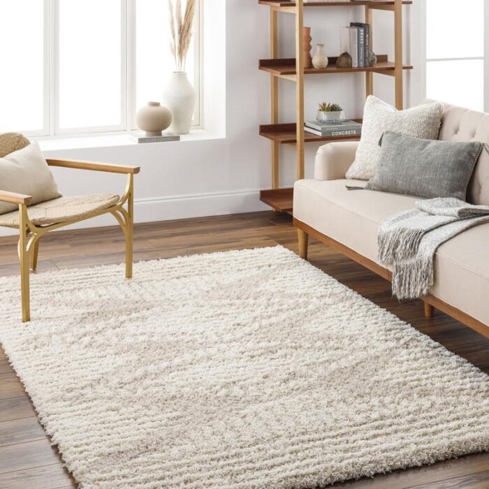 Salon moderne avec canapé, tapis moelleux et étagère bois.