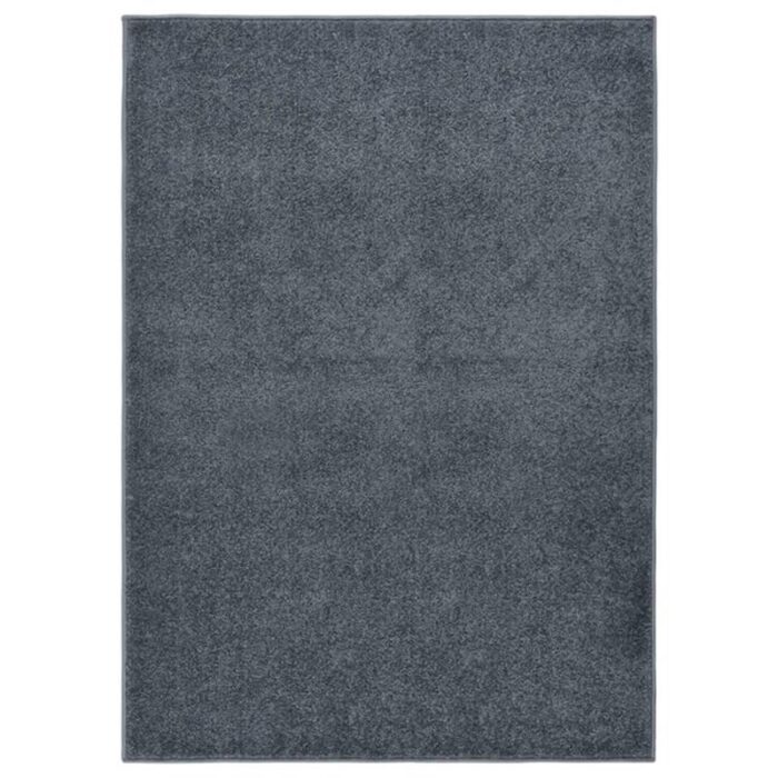 Tapis gris anthracite uni pour intérieur.