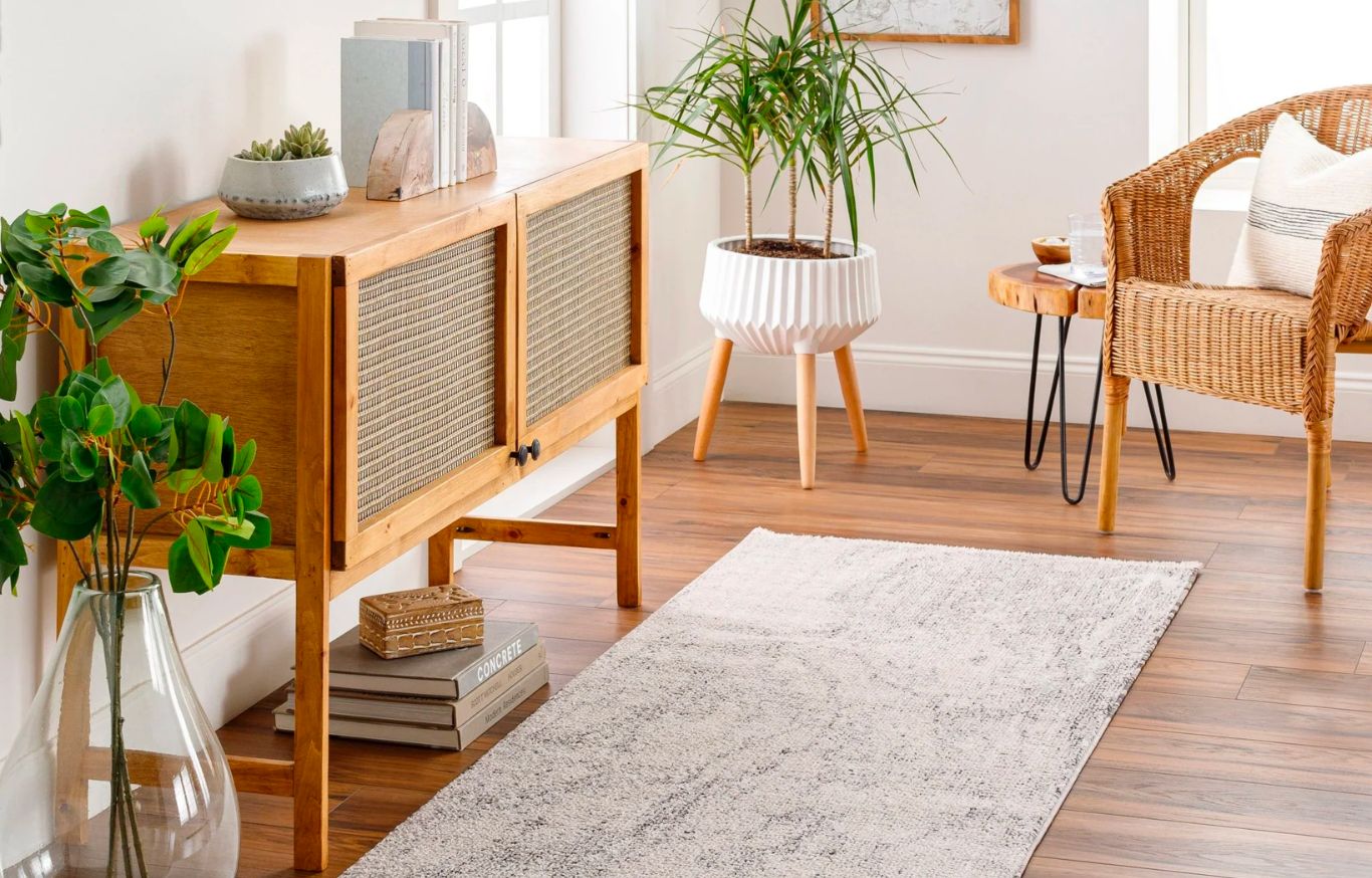 Salon cosy avec décoration bois et plantes.